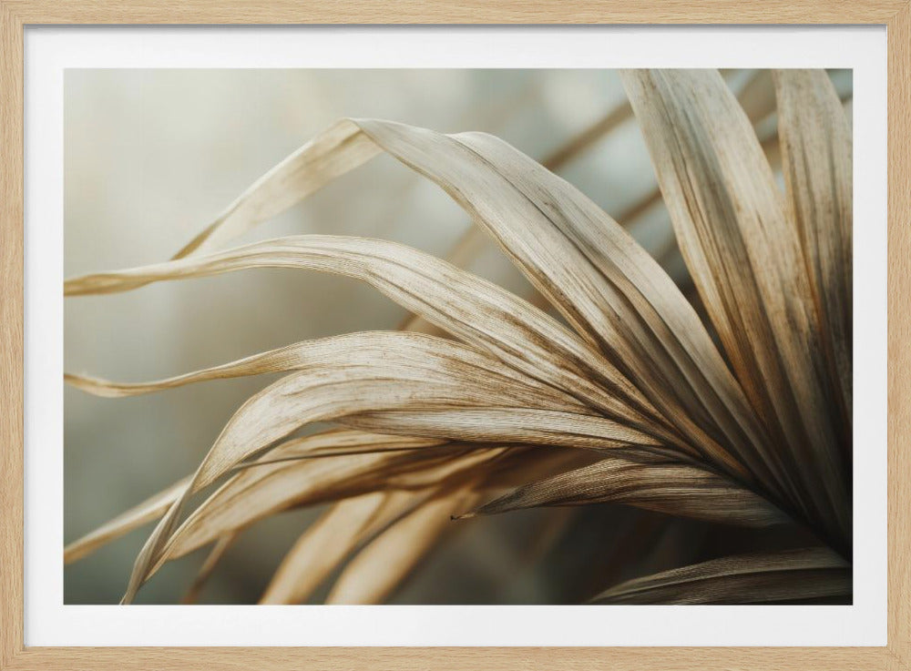 Whispering Leaves | Poster