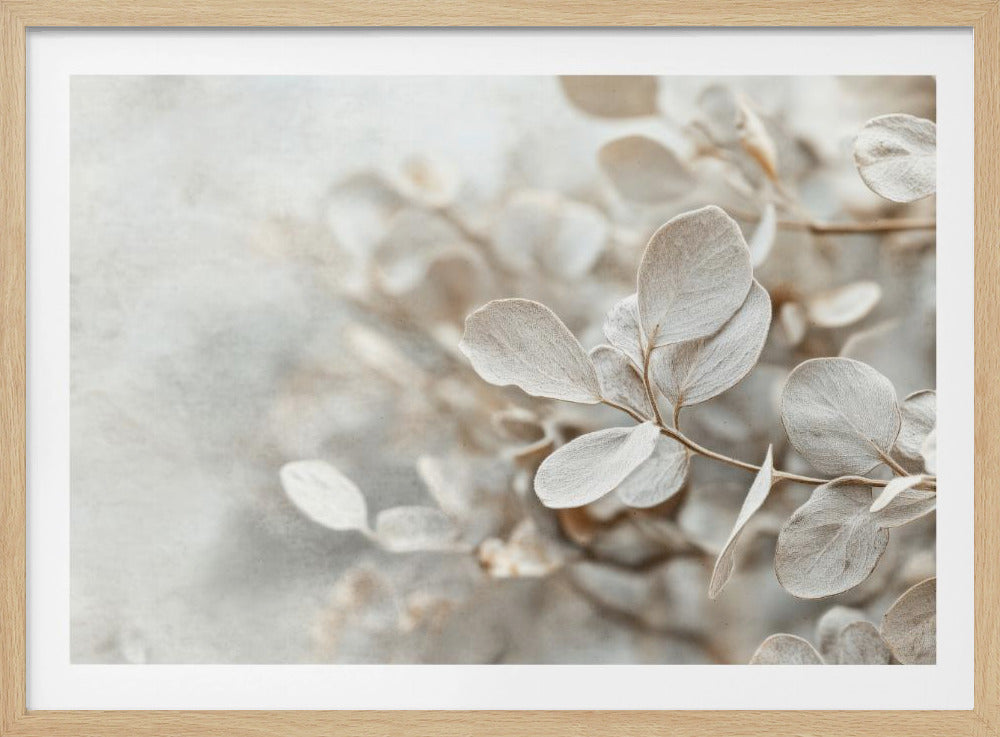 Ethereal Leaves | Poster