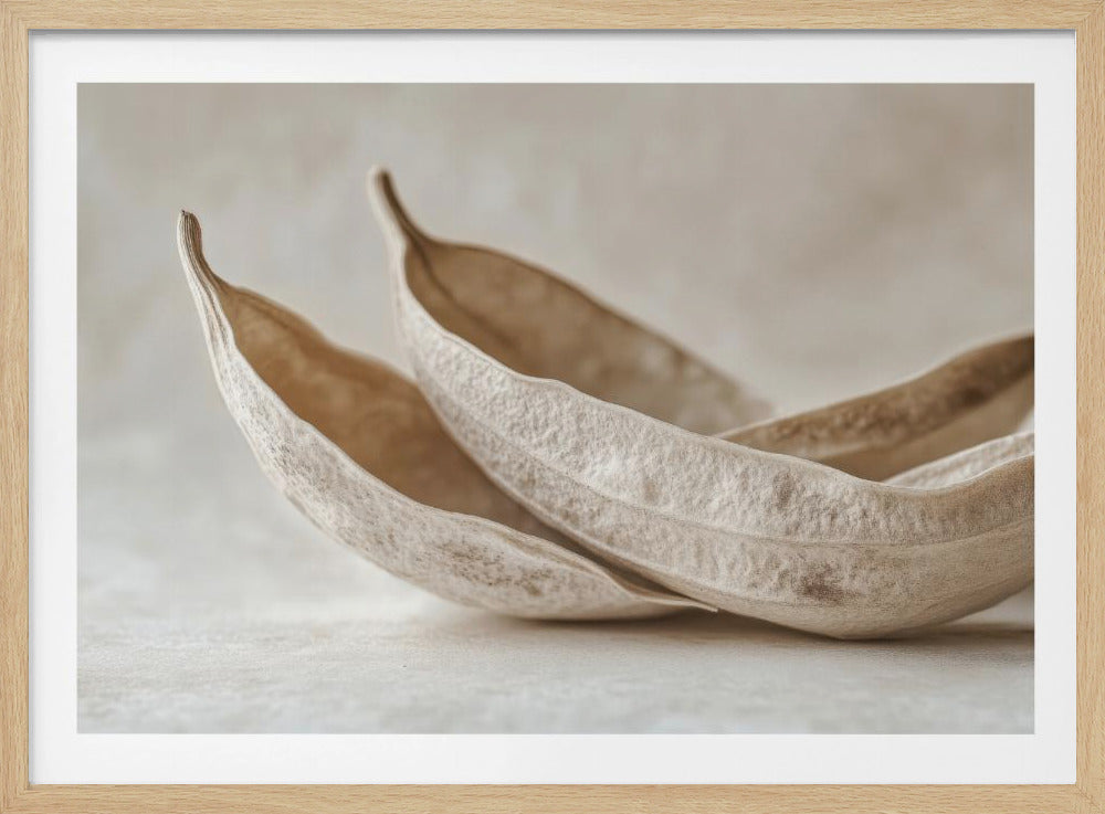 Whispers of Nature | Poster