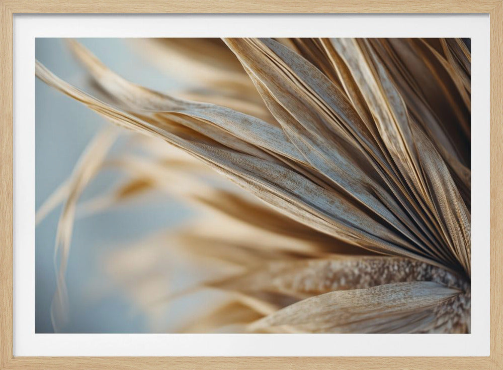 Golden Leaf Whispers | Poster