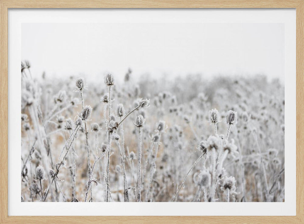 Winter Field 5 | Poster