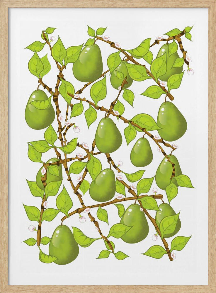 Pear Blossom Tangle | Poster