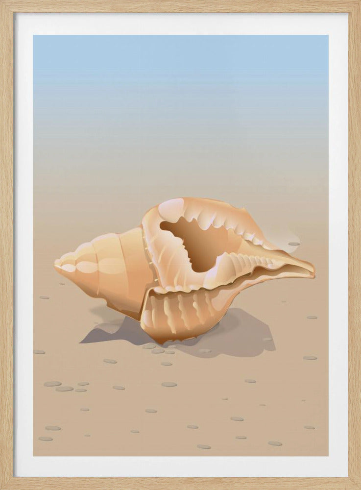 Seaside Shell | Poster