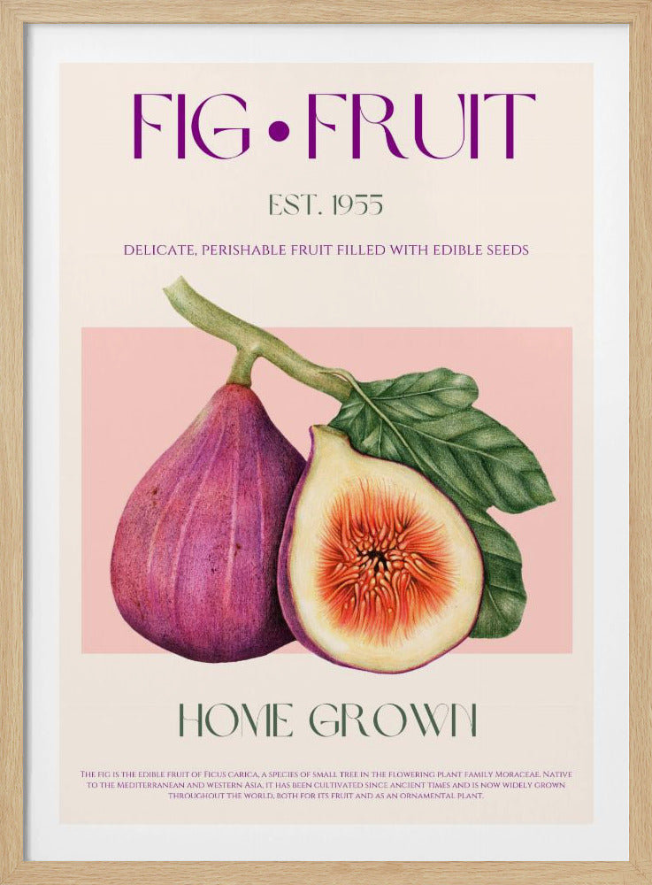 Vintage Fig Delight | Poster