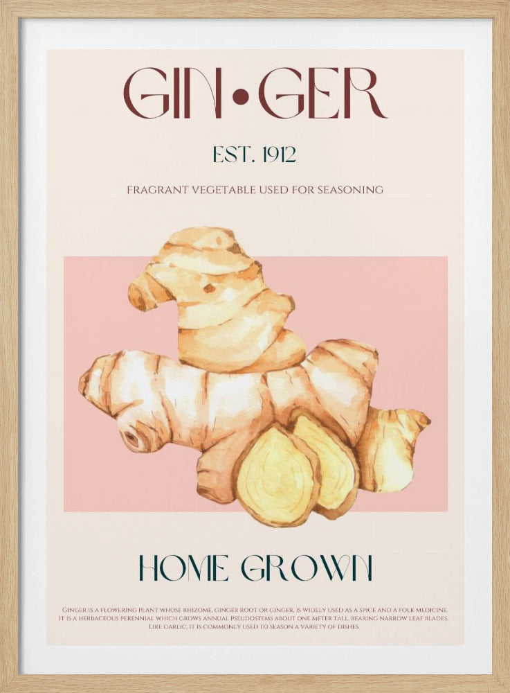 Watercolor illustration Of Ginger | Poster