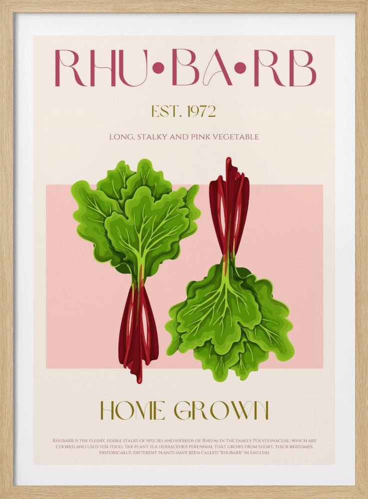 Illustrated Rhubarb With Vibrant Pink Stalks | Poster