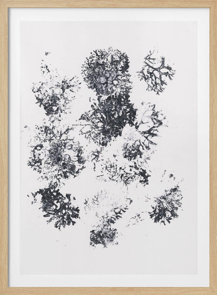 Plants II | Poster