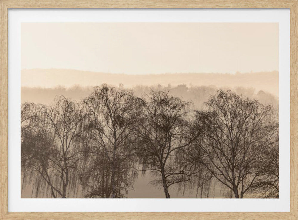 Fading Horizons 1 | Poster