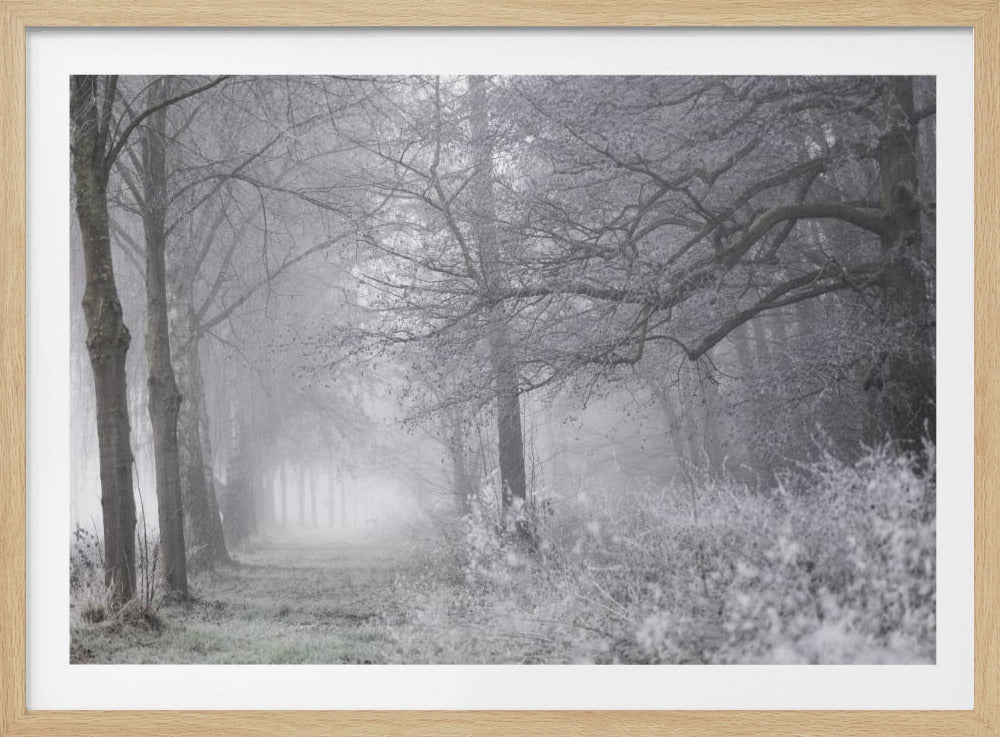 Foggy Winter Morning 1 | Poster
