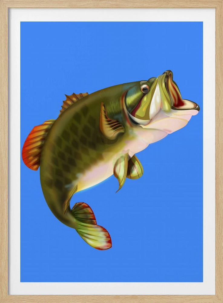 Bass Fish | Poster