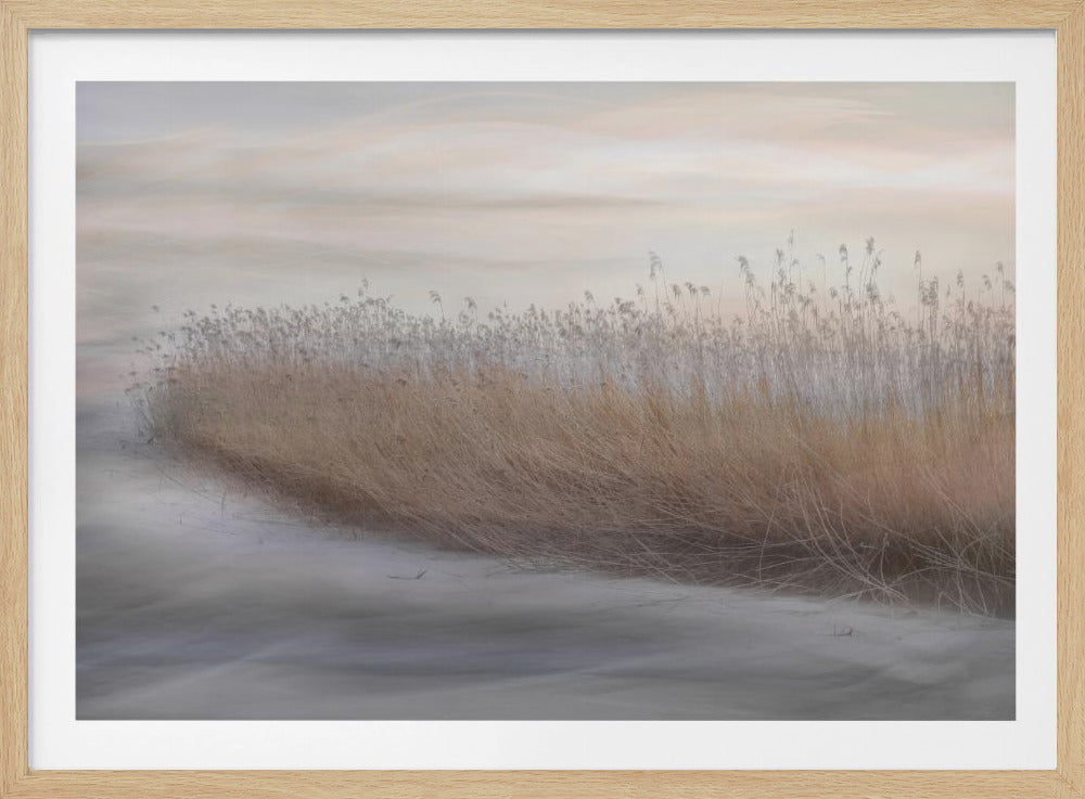 Winter Reed | Poster