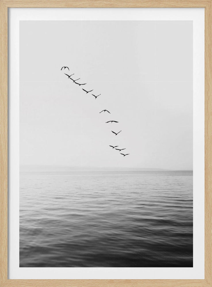 Flying Birds | Poster