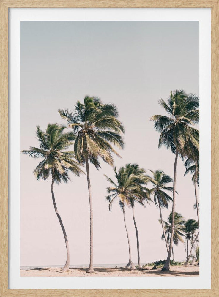 Blush Tropical Trees | Poster