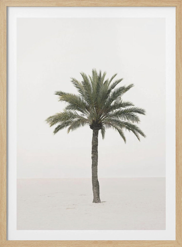 Palm | Poster