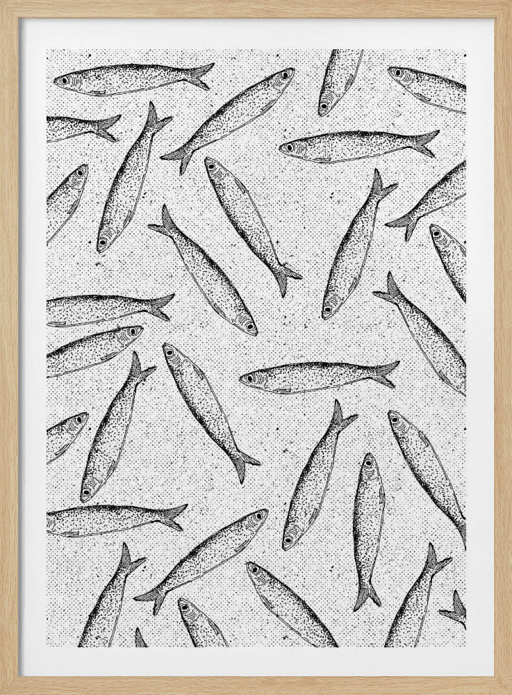 Sardine Fish Pattern | Poster