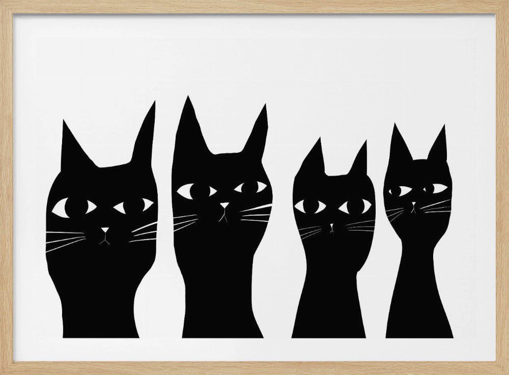 Four black cats | Poster