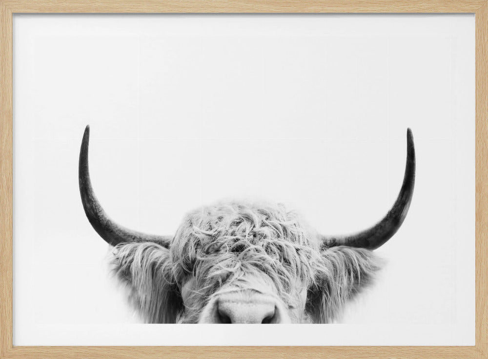Peeking Cow BW | Poster