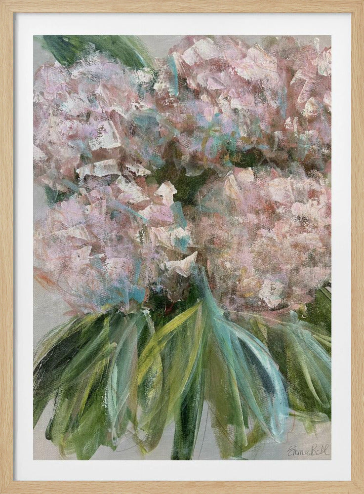 Pink Hydrangeas with Green Leaves | Poster