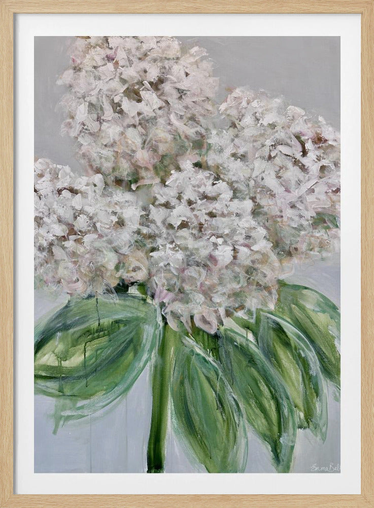 White Hydrangea Bloom | Poster