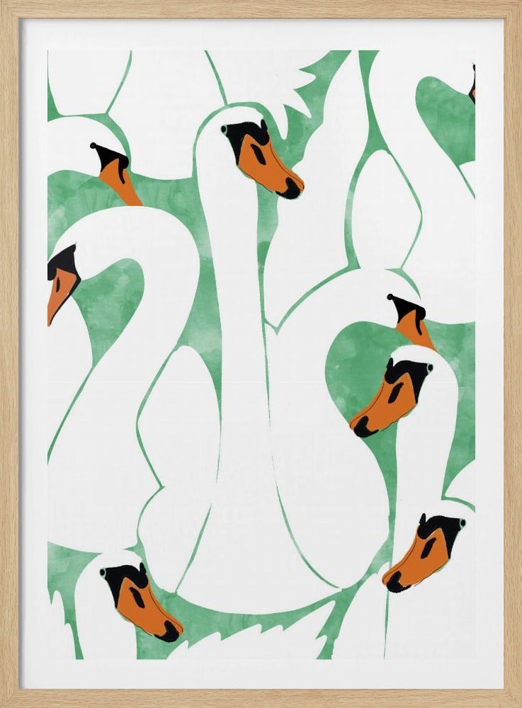 Graceful Swans | Poster