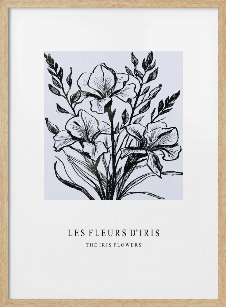 Iris Flowers In A Monochrome Illustration | Poster