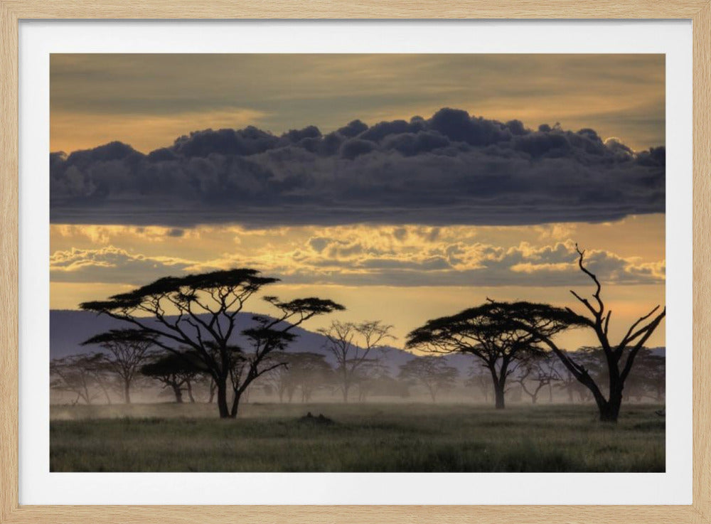 Good evening tanazania | Poster