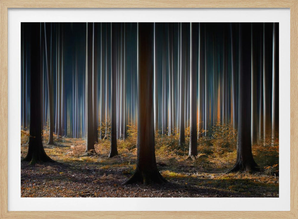 Mystic Wood | Poster