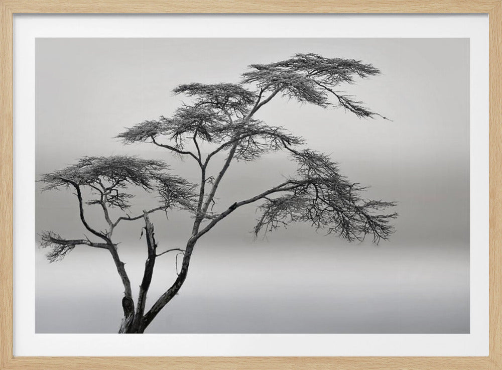 a very long story | Poster