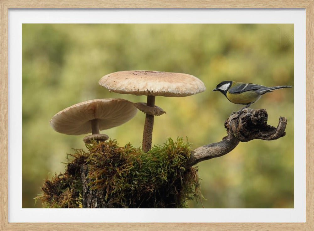 My small part of the world | Poster