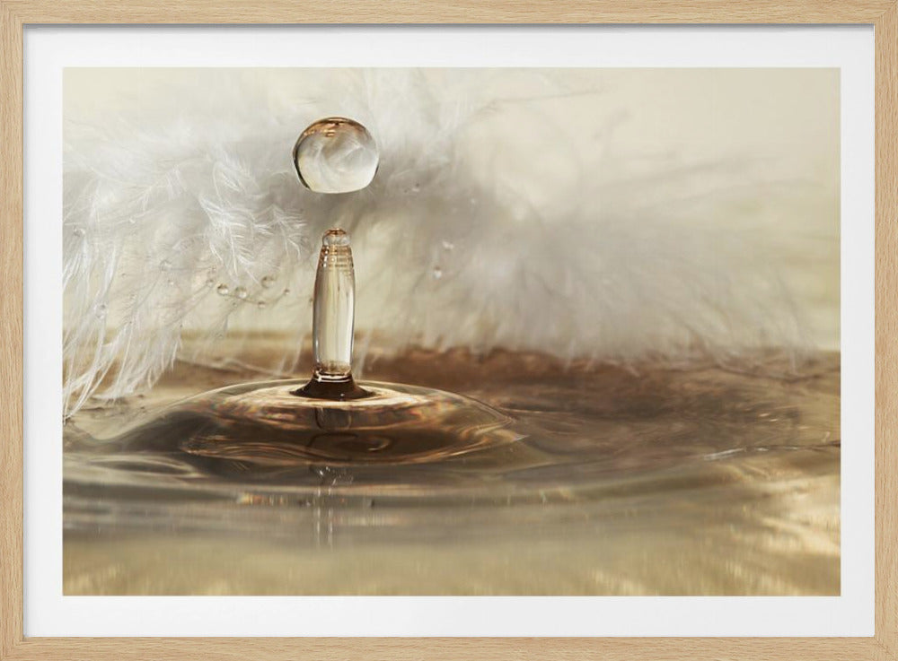 Golden featherdrops | Poster