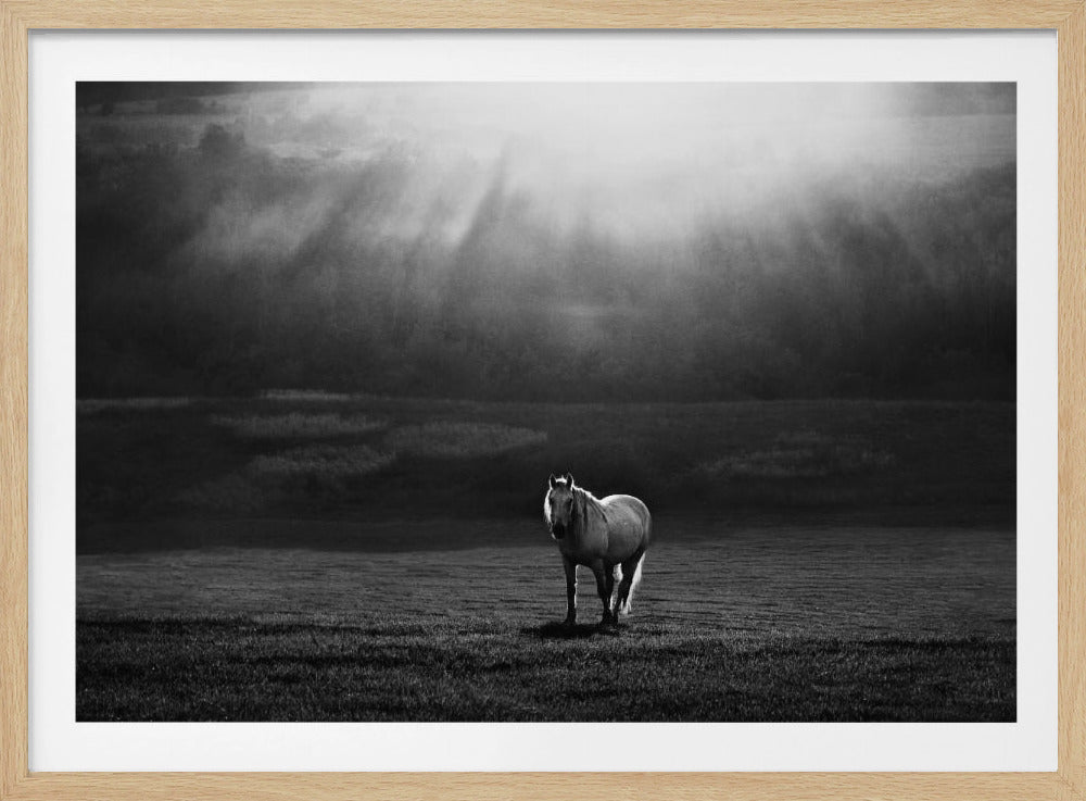 morning appearance | Poster