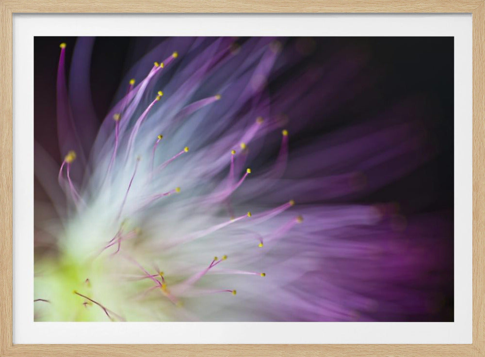 The Will-o-the-Wisp | Poster