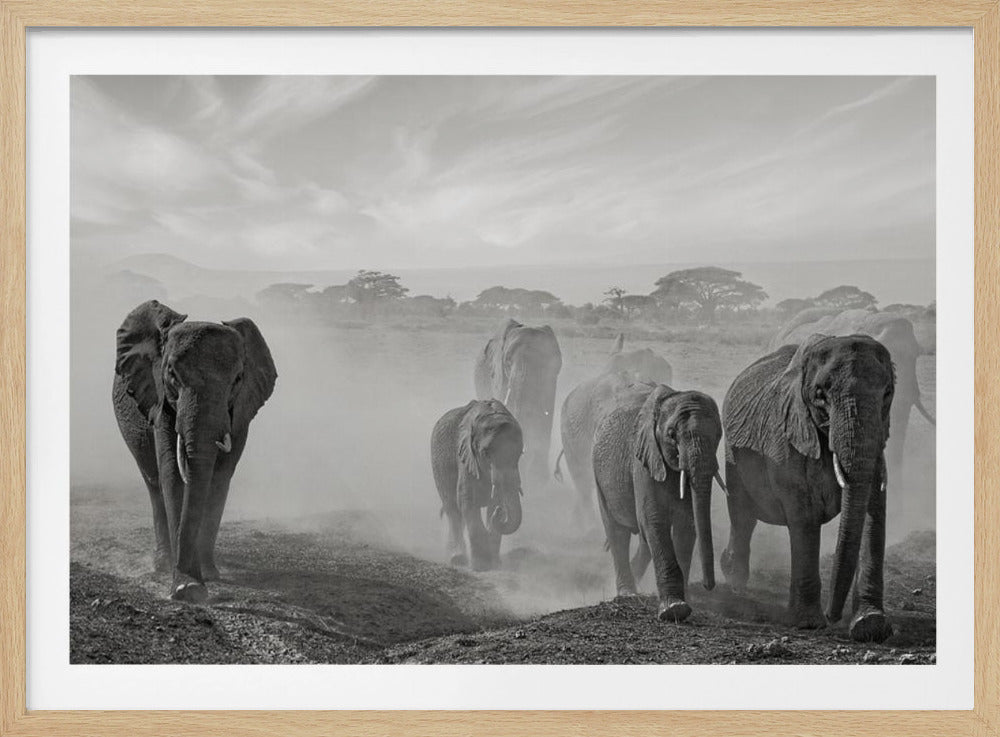 Sequence of emotion | Poster