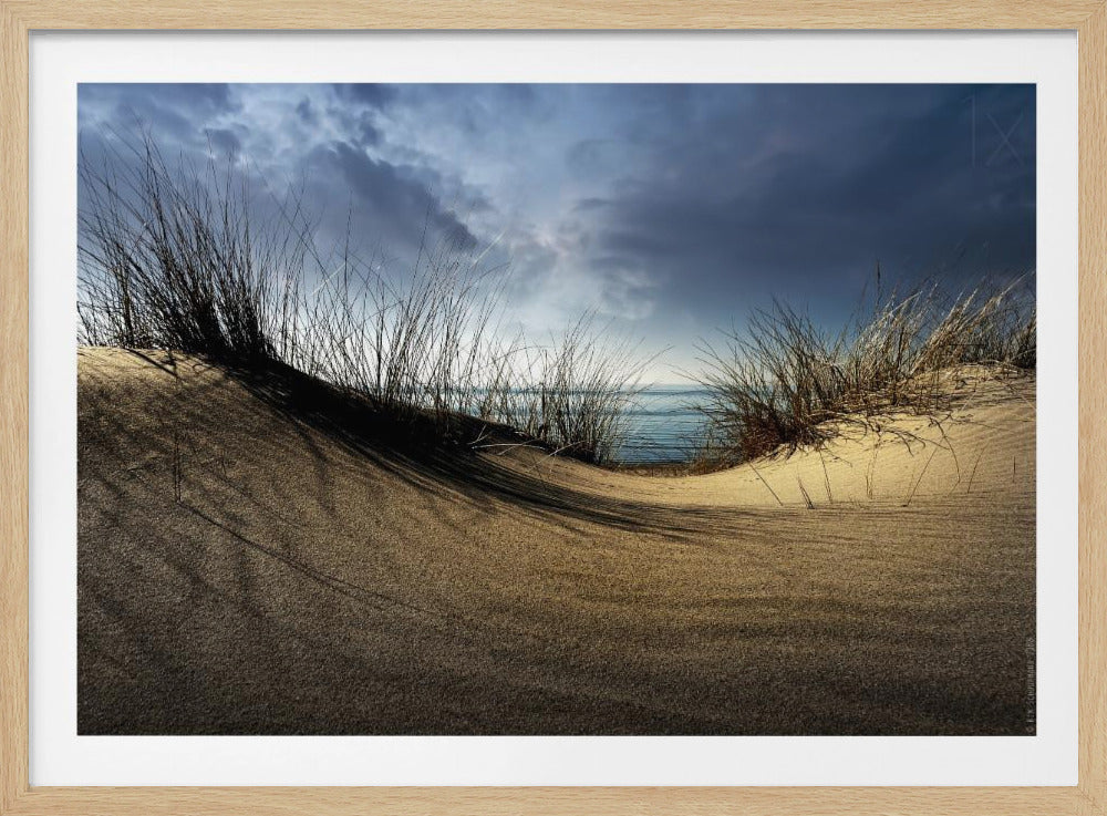 Dunes........... | Poster