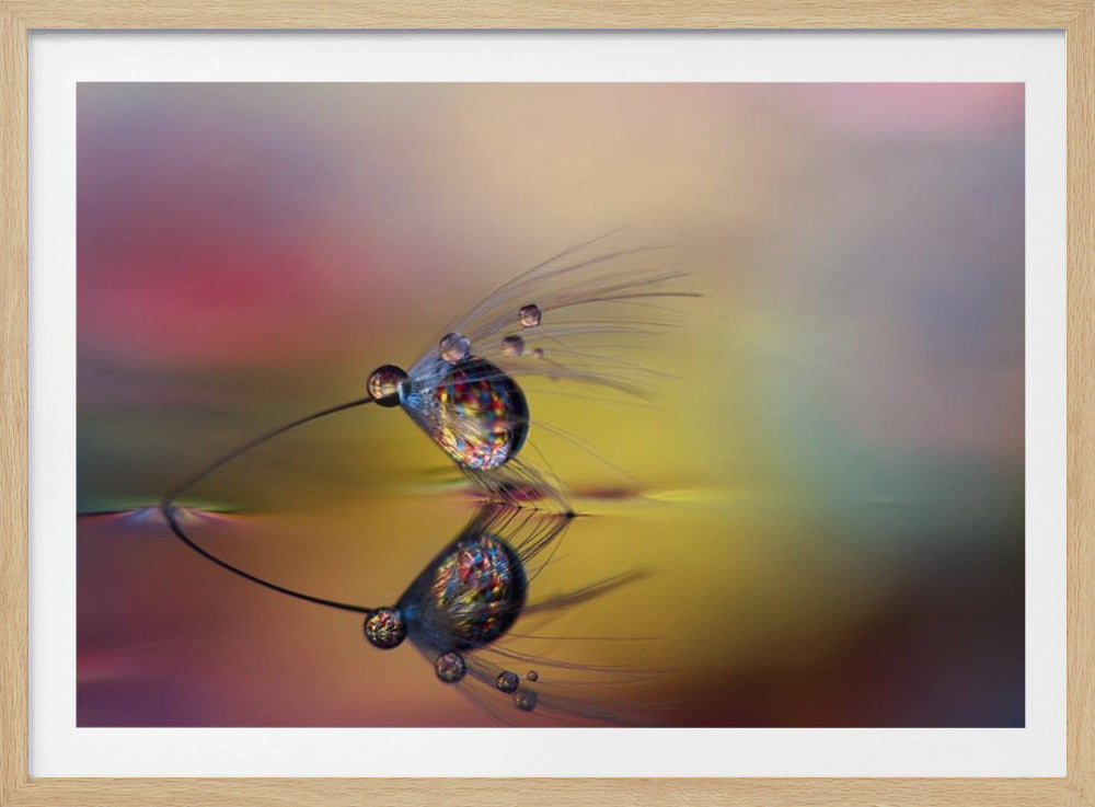 Colorize the darkness | Poster