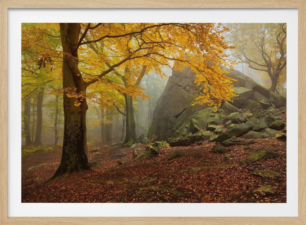 Autumn forest | Poster