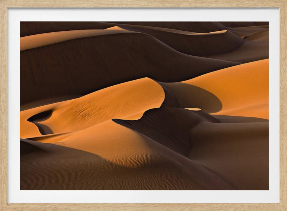 Morning Light | Poster