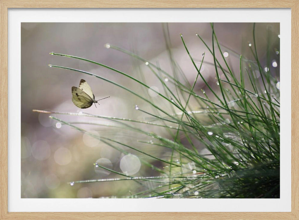 Imminent Landing | Poster