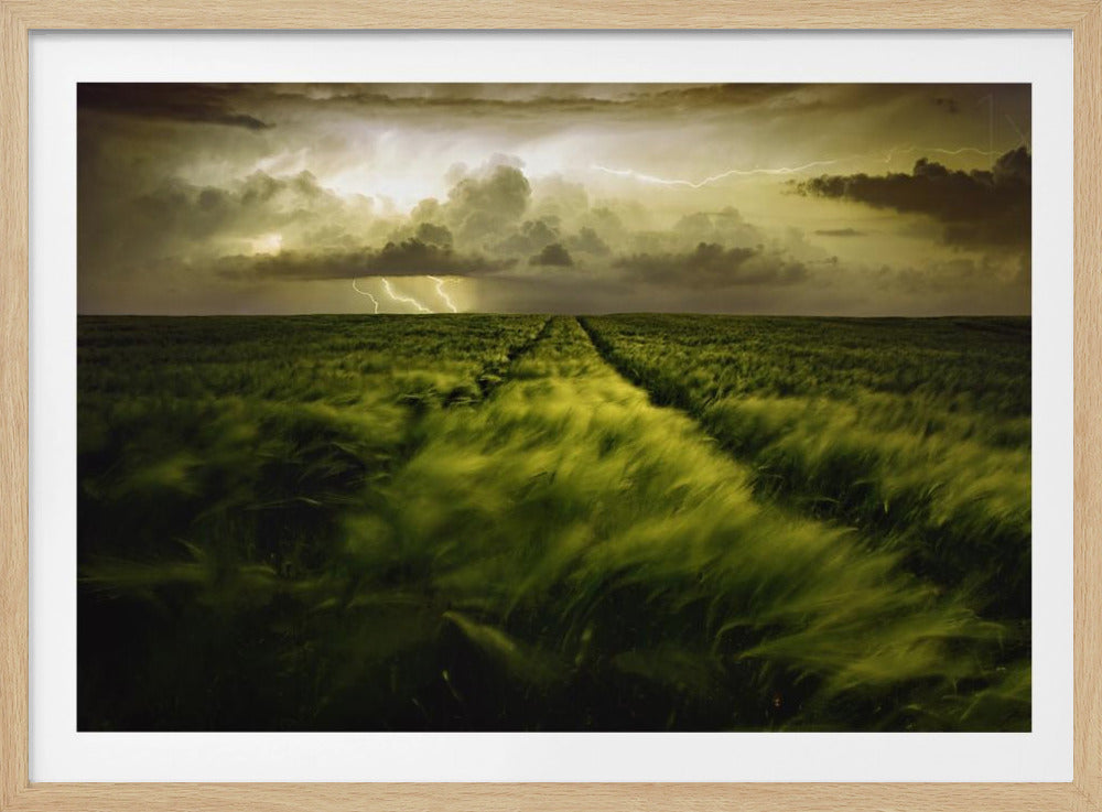 Journey to the Fierce Storm | Poster