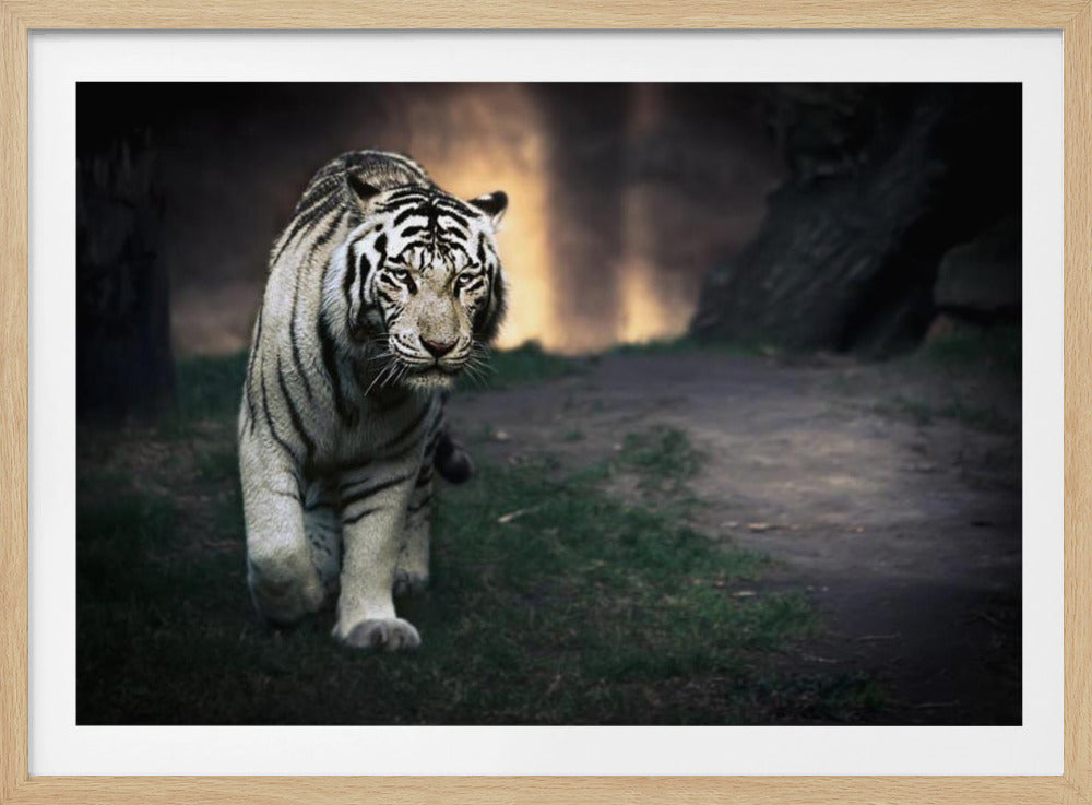 White walker | Poster