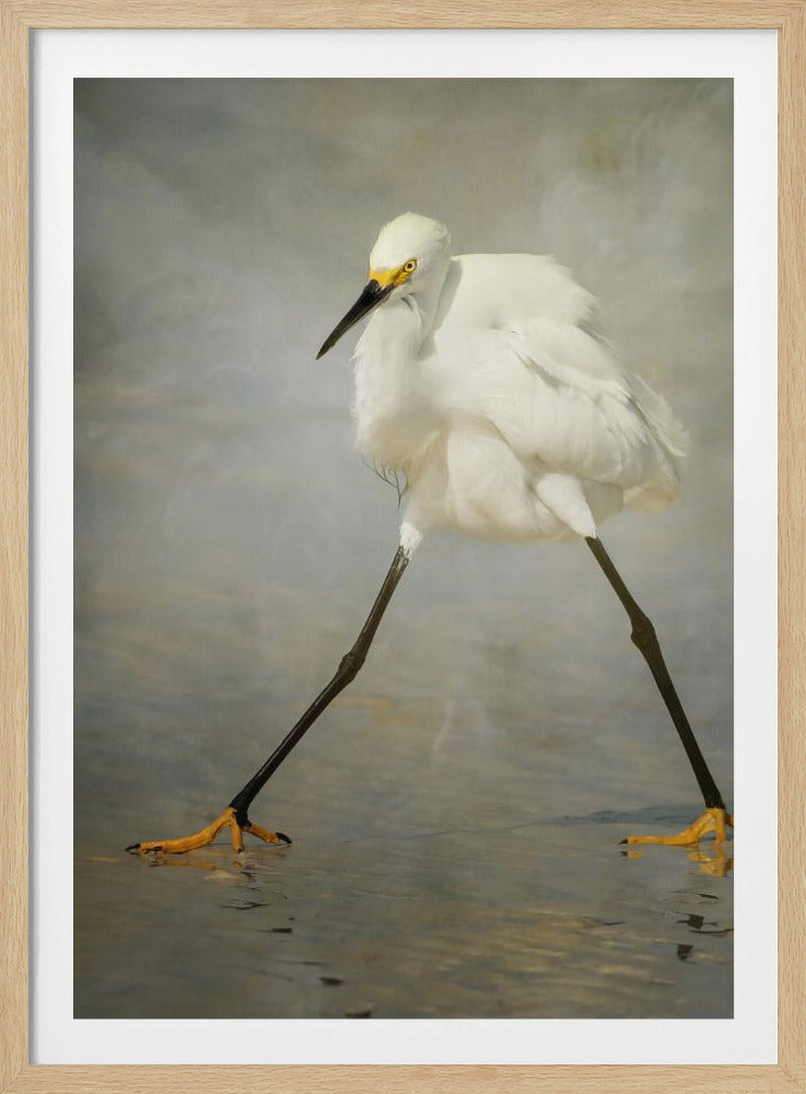 The Rock Star | Poster