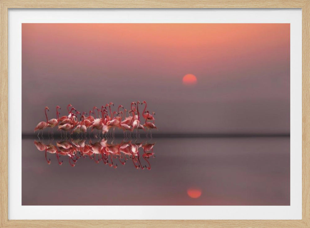 purple sunset | Poster