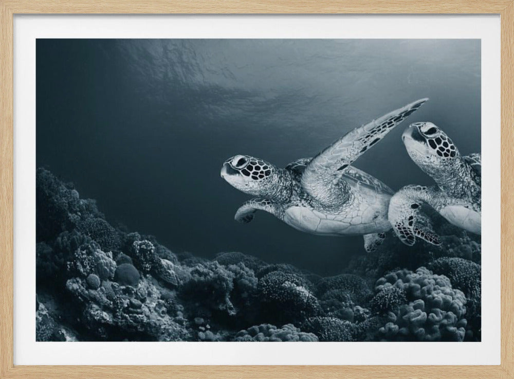 Twin dance | Poster