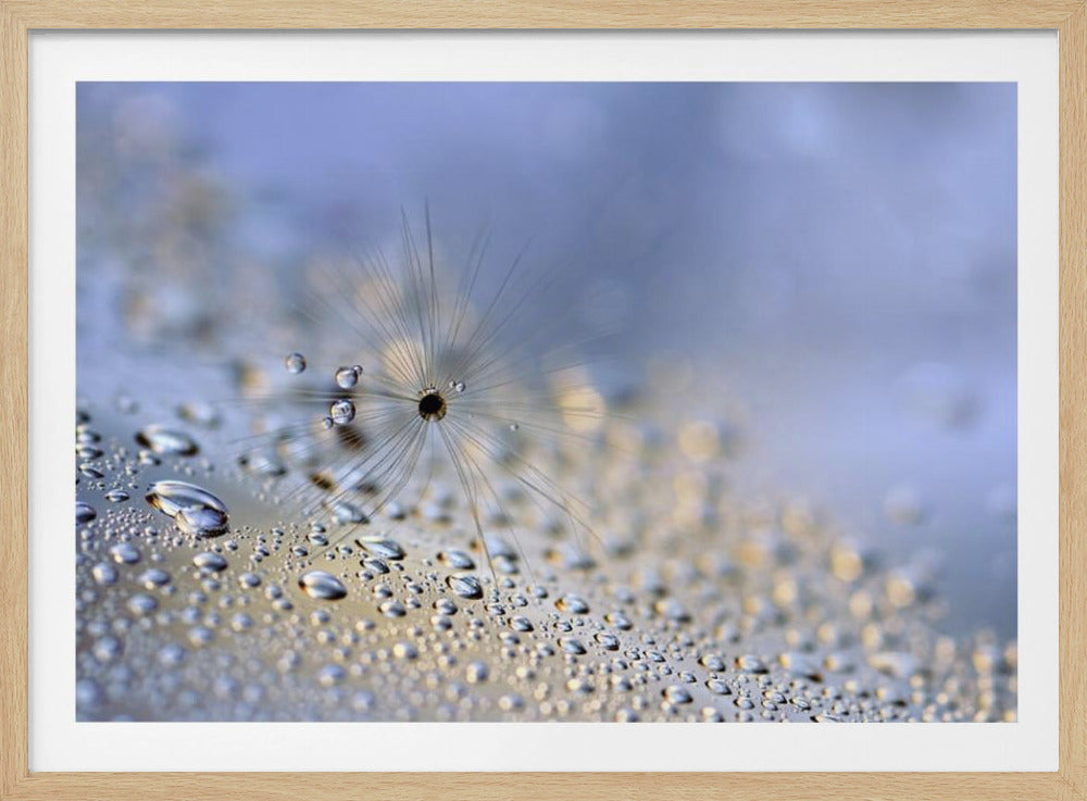 Crawling down | Poster