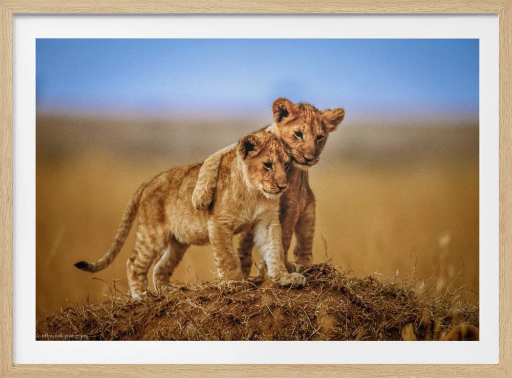 Brothers for Life | Poster