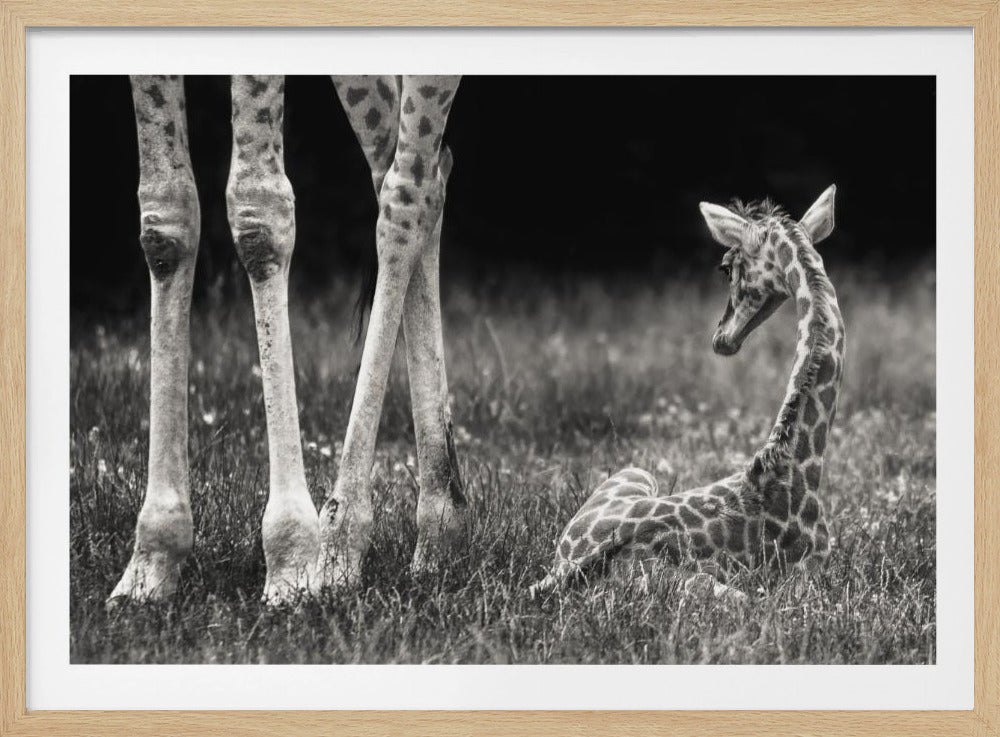 well protected | Poster