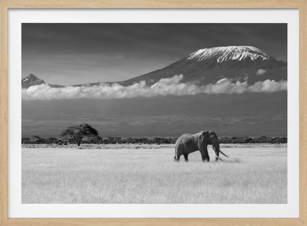 Lost Colors II | Poster