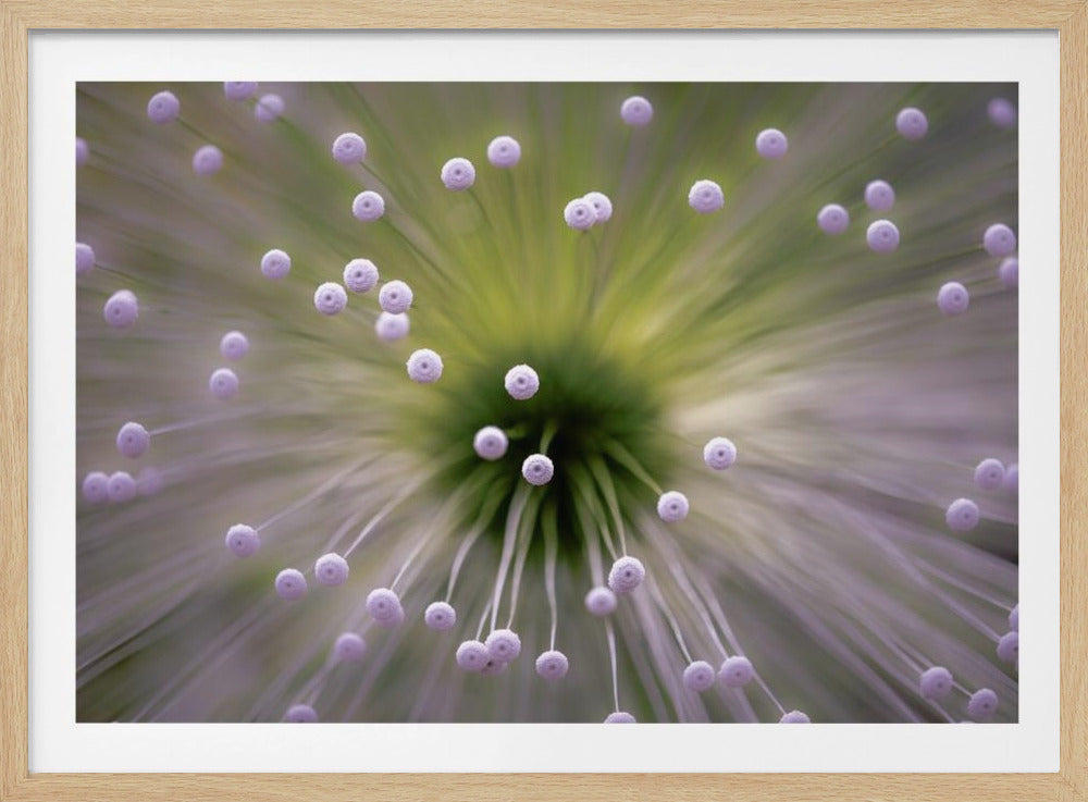 Green and White II | Poster