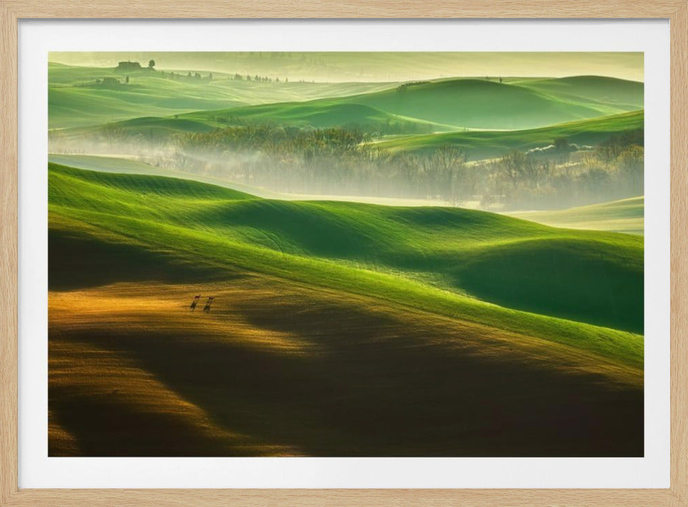 Freedom.... | Poster