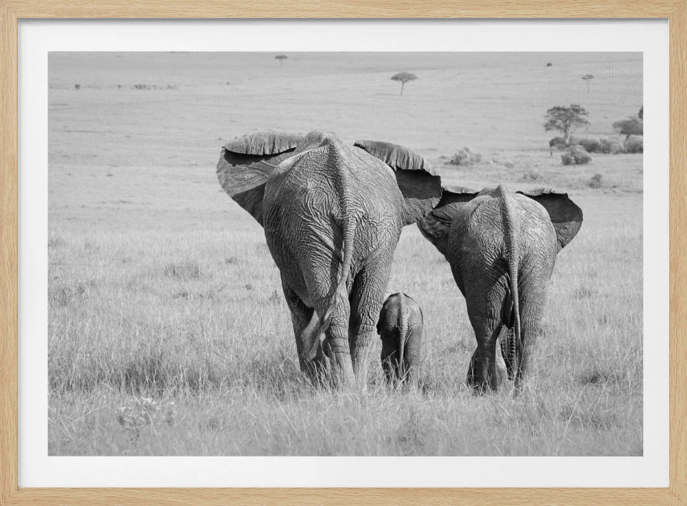 Three Butts! | Poster